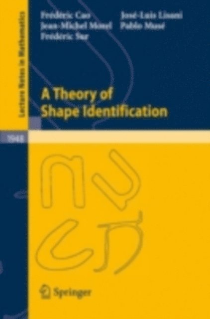Frederic Sur, Pablo Muse, Jean-Michel Morel, Jose-Luis Lisani, Frederic Cao - Theory of Shape Identification, E-bok