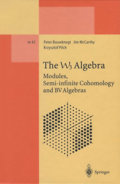 Krzysztof Pilch, Jim McCarthy, Peter Bouwknegt - W3 Algebra, E-bok