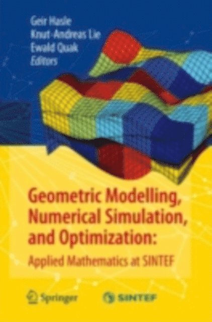 Ewald Quak, Knut-Andreas Lie, Geir Hasle - Geometric Modelling, Numerical Simulation, and Optimization:, E-bok