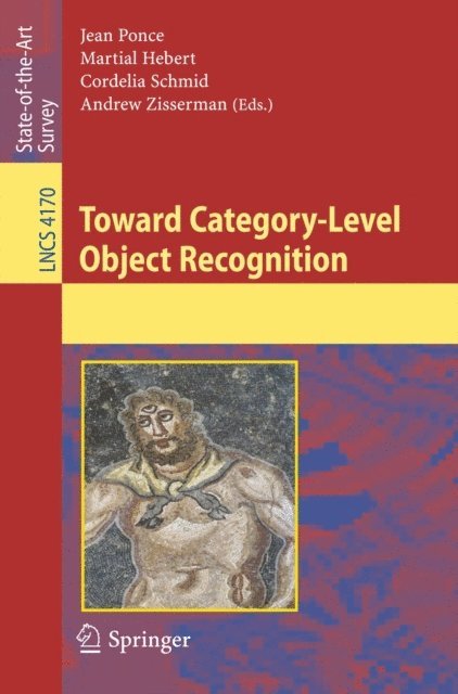Andrew Zisserman, Cordelia Schmid, Martial Hebert, Jean Ponce - Toward Category-Level Object Recognition, E-bok