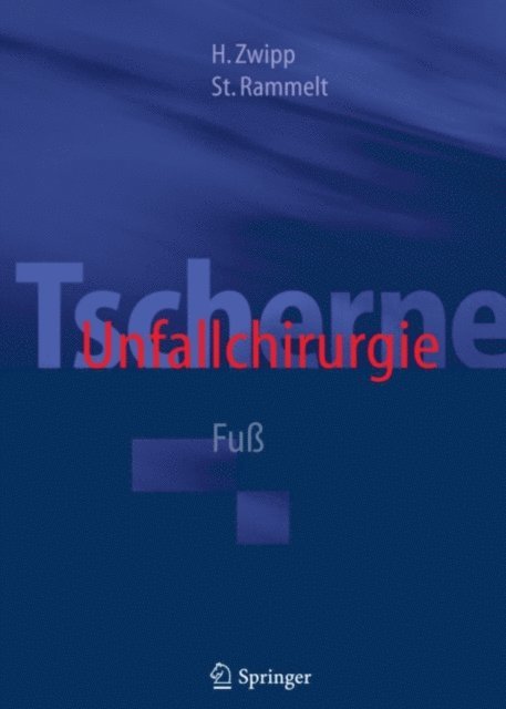 Stefan Rammelt, Hans Zwipp - Tscherne Unfallchirurgie, E-bok