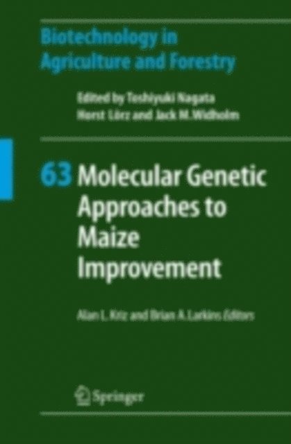 Brian A. Larkins, Alan L. Kriz - Molecular Genetic Approaches to Maize Improvement, E-bok