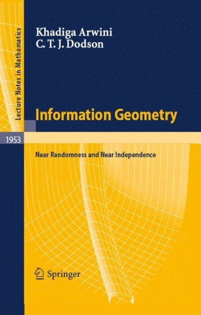 C. T. J. Dodson, Khadiga Arwini - Information Geometry, E-bok
