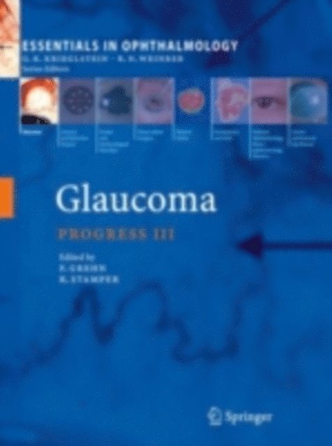 Robert Stamper, Franz Grehn - Glaucoma, E-bok