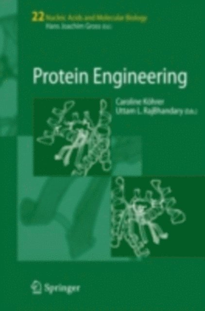 Uttam L. RajBhandary, Caroline Koehrer - Protein Engineering, E-bok