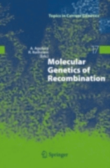 Rodney Rothstein, Andres Aguilera - Molecular Genetics of Recombination, E-bok