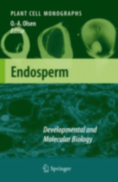 Odd-Arne Olsen - Endosperm, E-bok