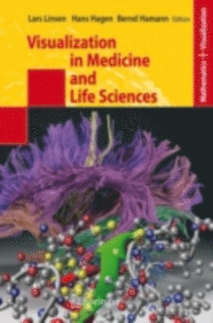 Bernd Hamann, Hans Hagen, Lars Linsen - Visualization in Medicine and Life Sciences, E-bok
