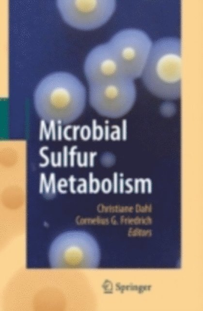 Cornelius G. Friedrich, Christiane Dahl - Microbial Sulfur Metabolism, E-bok