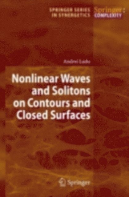 Andrei Ludu - Nonlinear Waves and Solitons on Contours and Closed Surfaces, E-bok