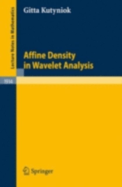 Gitta Kutyniok - Affine Density in Wavelet Analysis, E-bok