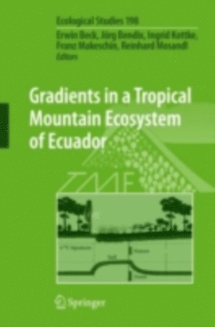 Reinhard Mosandl, Franz Makeschin, Ingrid Kottke, Jorg Bendix, Erwin Beck - Gradients in a Tropical Mountain Ecosystem of Ecuador, E-bok