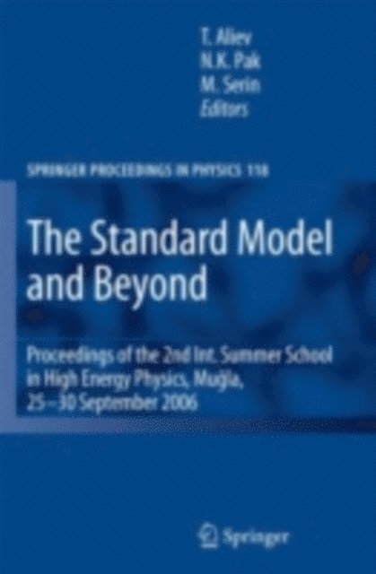 Meltem Serin, Namik Kemal Pak, Takhamsib Aliev - Standard Model and Beyond, E-bok