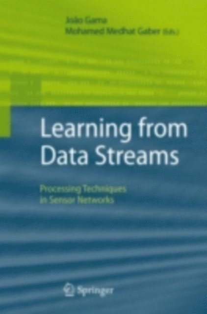 Mohamed Medhat Gaber, Joao Gama - Learning from Data Streams, E-bok