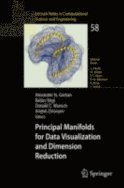 Andrei Zinovyev, Donald C. Wunsch, Balazs Kegl, Alexander N. Gorban - Principal Manifolds for Data Visualization and Dimension Reduction, E-bok