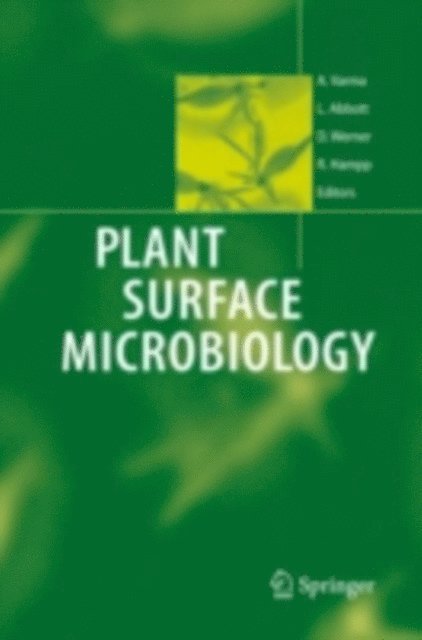 Rudiger Hampp, Dietrich Werner, Lynette Abbott, Ajit Varma - Plant Surface Microbiology, E-bok