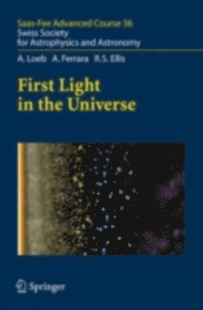 Richard S. Ellis, Andrea Ferrara, Abraham Loeb, Denis Puy, Angela Hempel, Daniel Schaerer - First Light in the Universe, E-bok