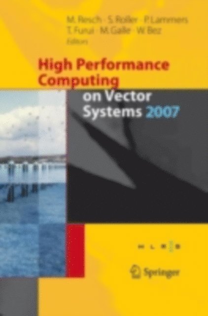 Wolfgang Bez, Martin Galle, Toshiyuki Furui, Peter Lammers, Sabine Roller - High Performance Computing on Vector Systems 2007, E-bok