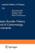 Basic Bundle Theory and K-Cohomology Invariants