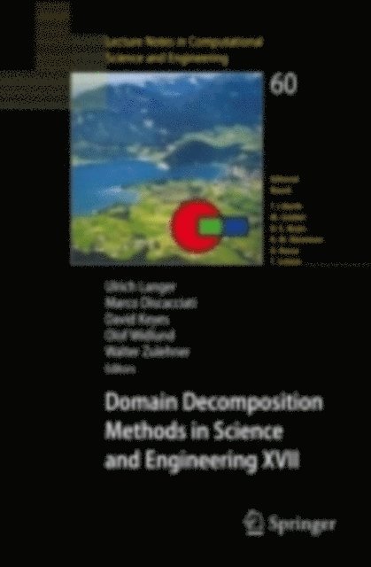 Walter Zulehner, Olof Widlund, David E. Keyes, Marco Discacciati, Ulrich Langer - Domain Decomposition Methods in Science and Engineering XVII, E-bok