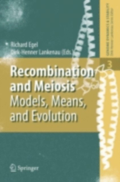 Dirk-Henner Lankenau, Richard Egel - Recombination and Meiosis, E-bok