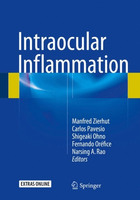 Narsing A. Rao, Fernando Orefice, Shigeaki Ohno, Carlos Pavesio, Manfred Zierhut - Intraocular Inflammation, E-bok
