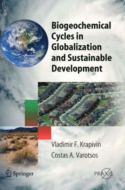 Vladimir F. Krapivin - Biogeochemical Cycles in Globalization and Sustainable Development, E-bok