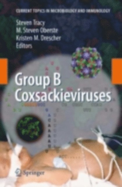 Kristen M. Drescher, M. Steven Oberste, Steven Tracy - Group B Coxsackieviruses, E-bok