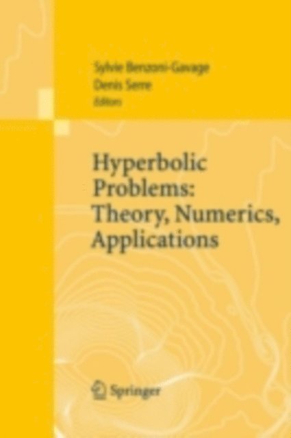 Denis Serre, Sylvie Benzoni-Gavage - Hyperbolic Problems: Theory, Numerics, Applications, E-bok