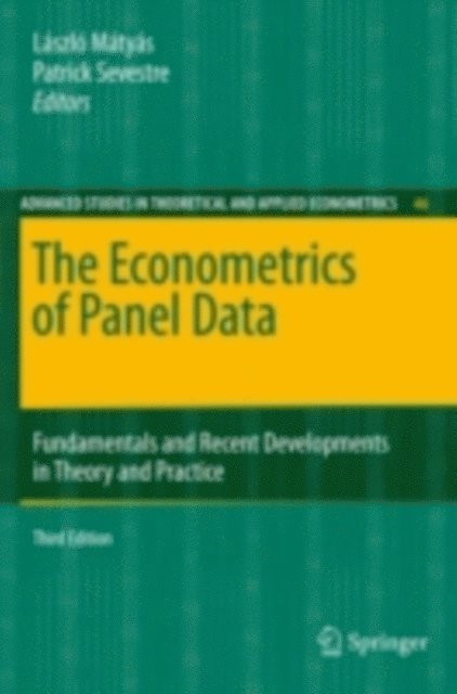 Patrick Sevestre, Laszlo Matyas - Econometrics of Panel Data, E-bok
