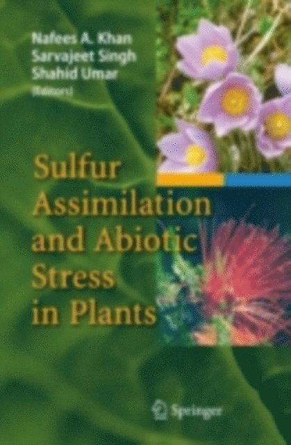 Shahid Umar, Sarvajeet Singh, Nafees A. Khan - Sulfur Assimilation and Abiotic Stress in Plants, E-bok