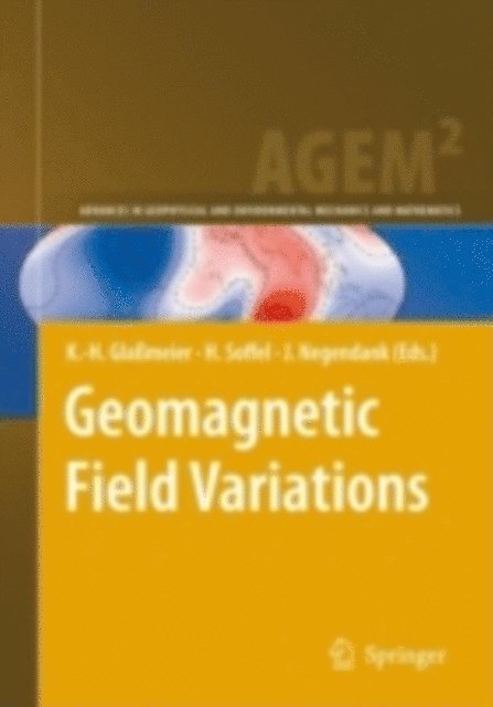 Jorg Negendank, Heinrich Soffel, K.H. Glameier - Geomagnetic Field Variations, E-bok