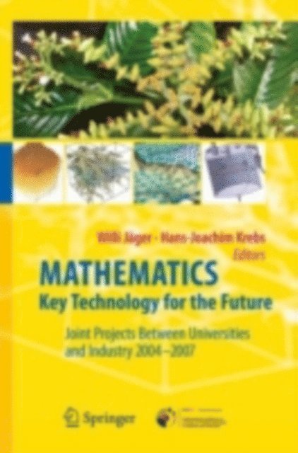 Hans-Joachim Krebs, Willi Jager - Mathematics - Key Technology for the Future, E-bok