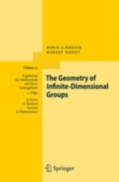 Robert Wendt, Boris Khesin - Geometry of Infinite-Dimensional Groups, E-bok