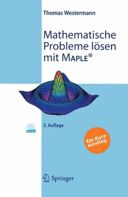 Thomas Westermann - Mathematische Probleme lösen mit Maple, E-bok