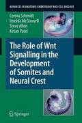 The Role of Wnt Signalling in the Development of Somites and Neural Crest