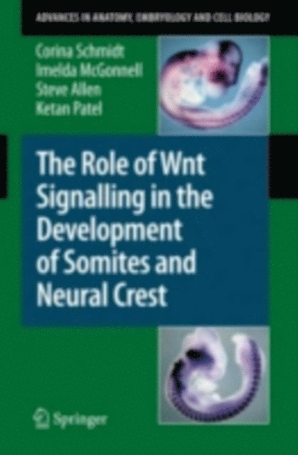 Ketan Patel, Steve Allen, Imelda McGonnell, Corina Schmidt - Role of Wnt Signalling in the Development of Somites and Neural Crest, E-bok