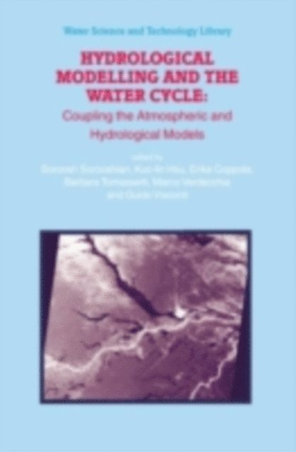 Guido Visconti, Marco Verdecchia, Barbara Tomassetti, Erika Coppola, Kuo-lin Hsu, Soroosh Sorooshian - Hydrological Modelling and the Water Cycle, E-bok