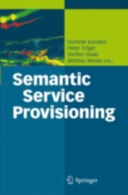 Mathias Weske, Steffen Staab, Peter Troger, Dominik Kuropka - Semantic Service Provisioning, E-bok