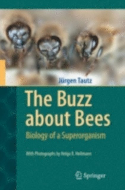 Jurgen Tautz - Buzz about Bees, E-bok
