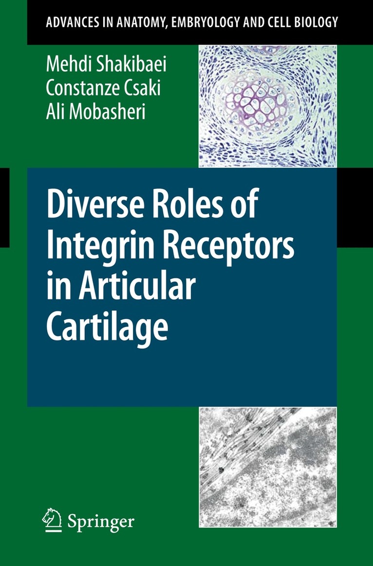 Mehdi Shakibaei, Constanze Csaki, Ali Mobasheri - Diverse Roles of Integrin Receptors in Articular Cartilage, Häftad