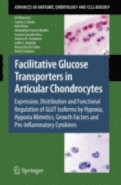 Mehdi Shakibaei, Richard Barrett-Jolley, Judith A Hoyland, Stephen Richardson, Susana Carvalho Rosa, Alexandrina Ferreira Mendes, Kelle Moley, Carolyn A. Bondy, Ali Mobasheri - Facilitative Glucose Transporters in Articular Chondrocytes, E-bok