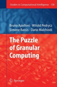 Puzzle of Granular Computing