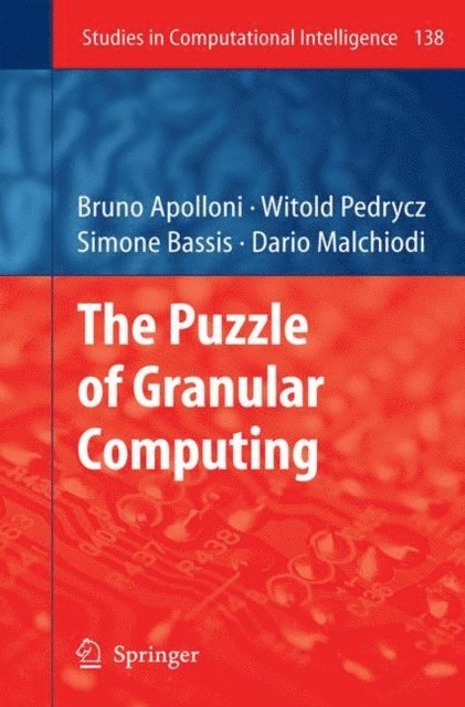 Dario Malchiodi, Simone Bassis, Witold Pedrycz, Bruno Apolloni - Puzzle of Granular Computing, E-bok