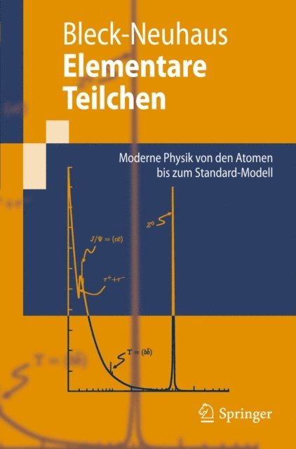 Jorn Bleck-Neuhaus - Elementare Teilchen, E-bok