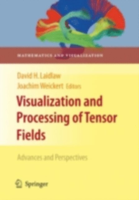 Joachim Weickert, David H. Laidlaw - Visualization and Processing of Tensor Fields, E-bok