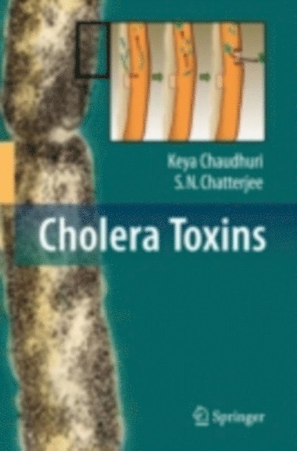 S. N. Chatterjee, Keya Chaudhuri - Cholera Toxins, E-bok