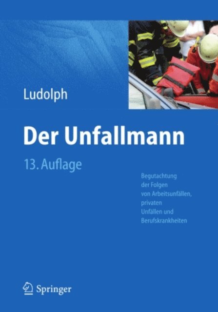 Elmar Ludolph - Der Unfallmann, E-bok