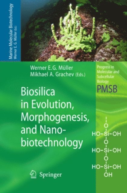 Mikhael A. Grachev, Werner E. G. Muller - Biosilica in Evolution, Morphogenesis, and Nanobiotechnology, E-bok