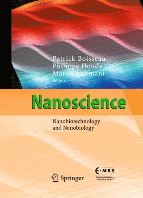 Marcel Lahmani, Patrick Boisseau - Nanoscience, E-bok